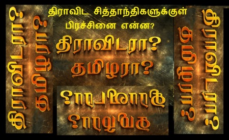What is the problem among the Dravidian ideologists