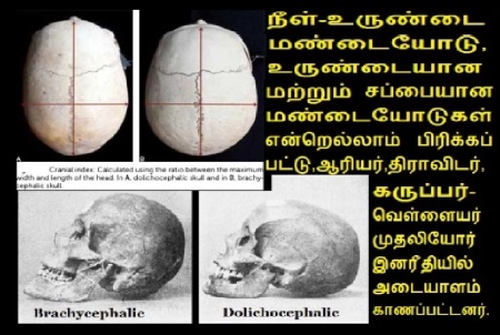 Dolococephalic....cranil index gone