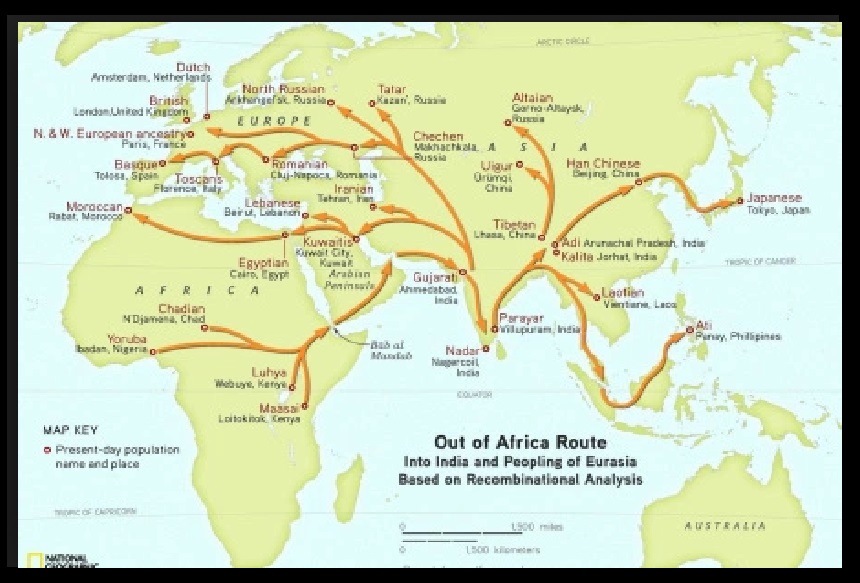 Out of Africa, genetic theory.2